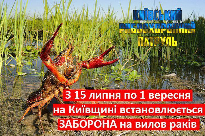 Встановлюється друга заборона на вилов раків