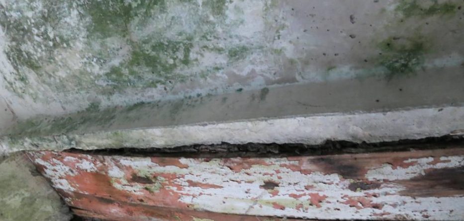Стеля з пліснявою: як живуть в гурожитку на Київщині