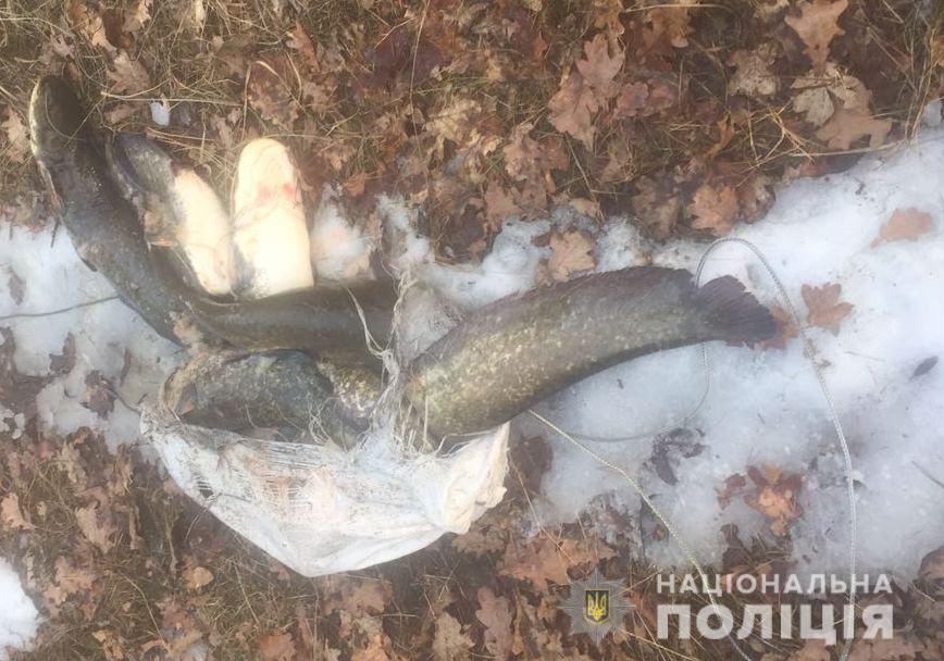 У Чоронобилі спіймали рибалку з незаконною здобиччю