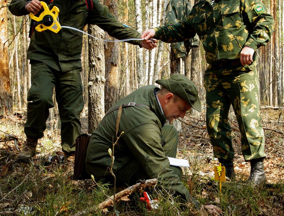У Чорнобильській зоні почалися роботи зі встановлення кордонів України та Білорусі
