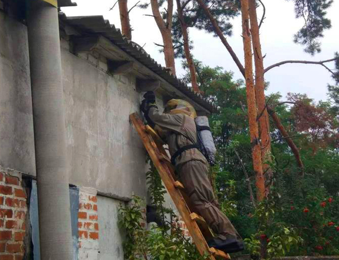 На Бородянщині врятували людей від шершнів