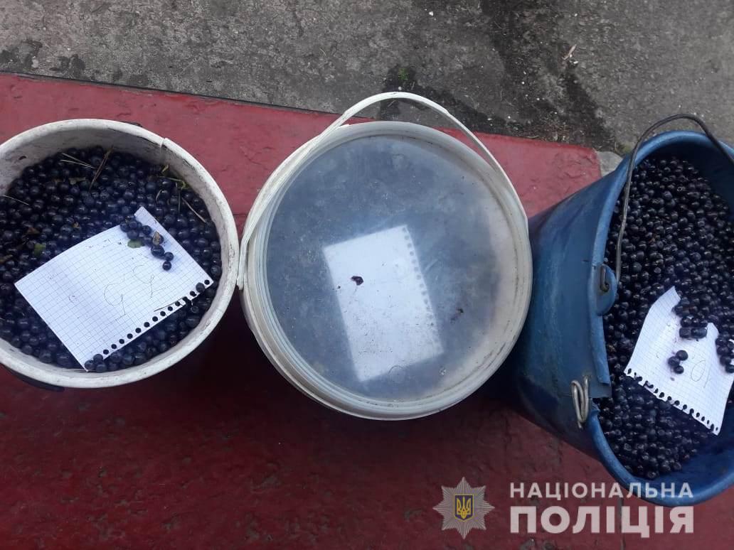 У зоні відчуження затримали двох чорничних сталкерів (ФОТО)